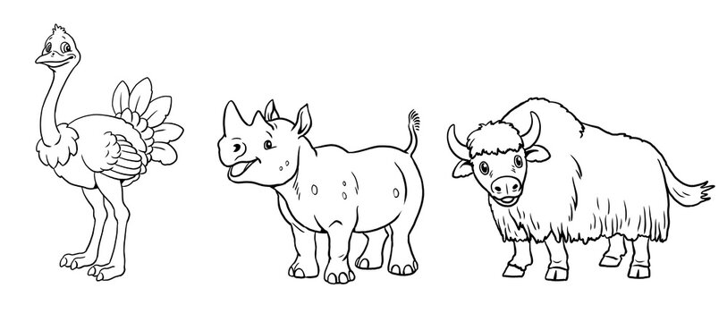 Cute ostrich, rhinoceros and yak to color in. Template for a coloring book with funny animals. Coloring template for kids.