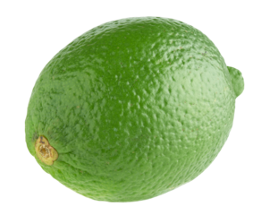 whole lime fruit isolated