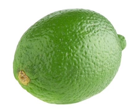 whole lime fruit isolated