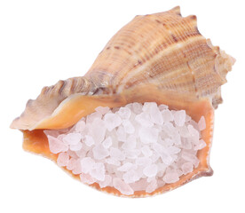 Sea salt in a brown shell, white background, close-up