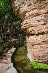 Flowing Water at the Montezuma Well unit of Montezuma Castle National Monument
