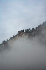 misty rock in Pieniny mountains 
