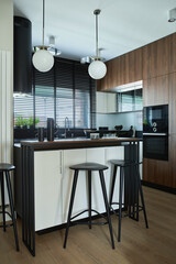 Stylish brown panel kitchen interior with biuld-in kitchen, kitchen island, bar stools and personal accessories. Template.