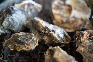 Grilled fresh oyster in Taiwan, famous street food.