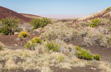 Fototapeta na wymiar The Dry Arid Landscape of Wupatki National Monument