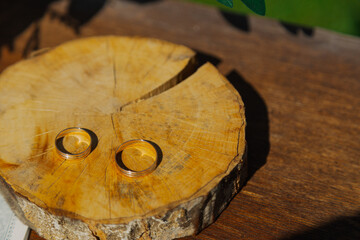 Wedding rings on a wooden circle on a sunny day