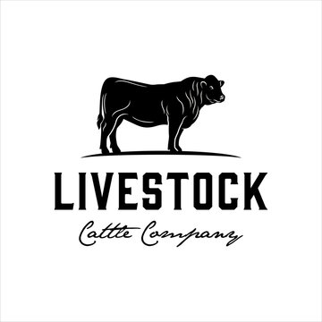 Cow logo with classic and masculine design style