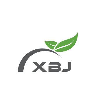 XBJ letter nature logo design on white background. XBJ creative initials letter leaf logo concept. XBJ letter design.