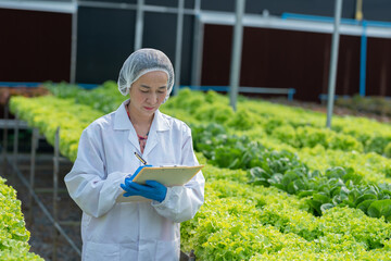 Asia Scientists examined the quality of vegetable organic vegetable lettuce from hydroponic farm and recorded them in Digital tablet.Expert Biologist Quality inspection in green house plantation.
