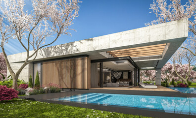 Obraz premium 3d rendering of new concrete house in modern style with pool and parking for sale or rent and beautiful landscaping on background. Fresh spring day with a blooming trees with flowers of sakura.