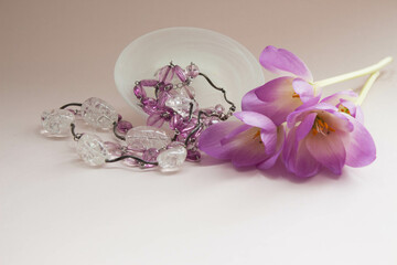 Beautiful fresh crocus flowers. Elegant purple flowers decoration with necklace on pink background.