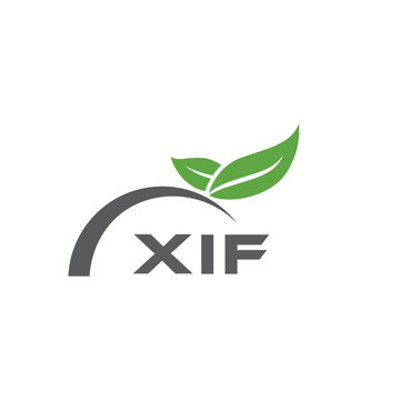 XIF letter nature logo design on white background. XIF creative initials letter leaf logo concept. XIF letter design.
