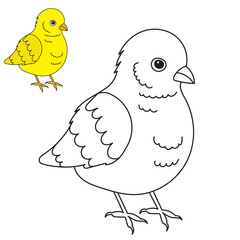 chick coloring book for kids isolated vector