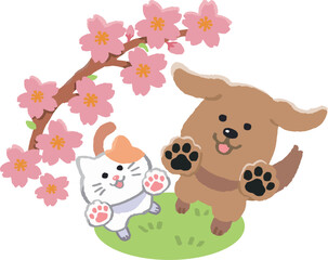 桜を見上げる犬と猫