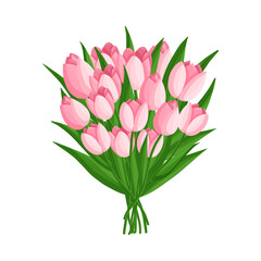 Pink bouquet of tulips flowers. Spring blooming vector illustration for women's day, mother's day, easter and other holidays. Floral isolated design for postcard, poster, ad, decor, fabric and other.