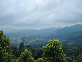 Fototapeta premium landscape photo of green hills.