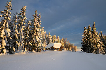 wooden house in a snow-covered forest, Holica, Bieszczady
