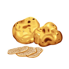white truffles on a white background, freshly sliced truffles. Extraordinary truffle mushrooms. On black background, vector illustration