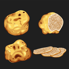  white truffles on a white background, freshly sliced truffles. Extraordinary truffle mushrooms. On black background, vector illustration