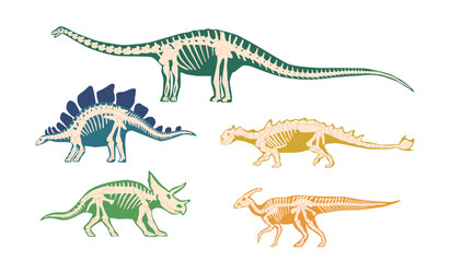 Set of Ancient Dinosaur Bones, Skeleton Fossils For Scientific Articles, History Books, And Materials about Discovery © Pavlo Syvak