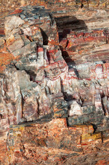 Fototapeta na wymiar Beautiful, Colorful Petrified Logs at Petrified Forest National Park