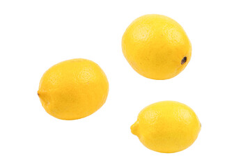 Lemon isolated on white background. Space for test or design.