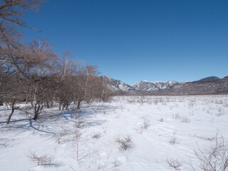 雪景色の奥日光戦場ヶ原の風景。2月。　日光市、栃木県、日本