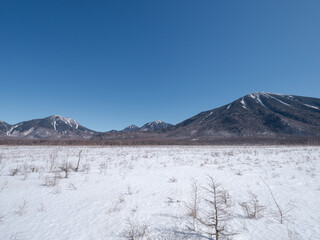 雪景色の奥日光戦場ヶ原の風景。2月。　日光市、栃木県、日本