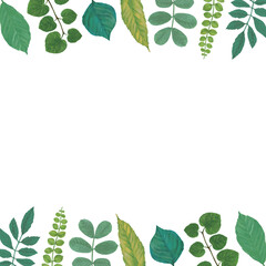 青葉のフレーム背景