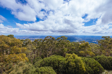 Fototapeta na wymiar Summer Landscape at Mt St Leonard in Australia