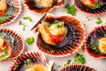 Cooked scallops with parsley