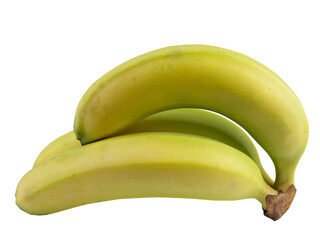 Cavendish Banana isolated on white background. (clipping path)
