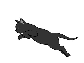 勢いよく空に向かって飛び出している黒猫の子猫