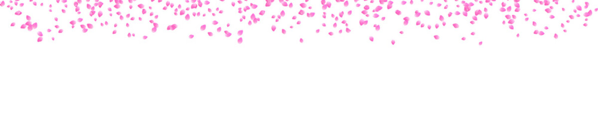 flurry of pink cherry blossom petals on traksparent background