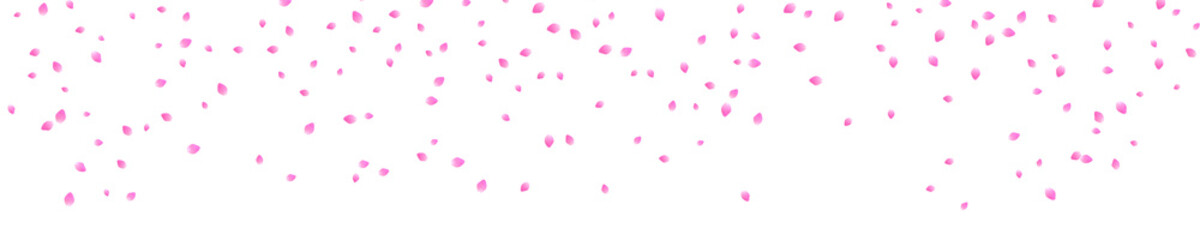 flurry of pink cherry blossom petals on traksparent background