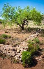 Fototapeta na wymiar Small Earth Works Wall at Fort Bowie National Historic Site