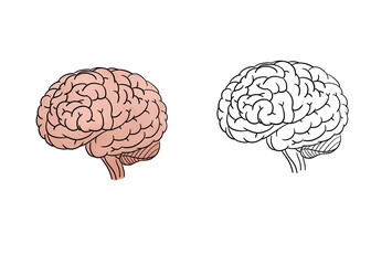 brain stroke and colored simple illustration