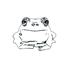 black and white sketch of a frog with transparent background