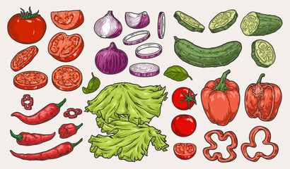 Fresh vegetables set labels colorful