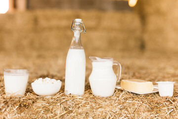jug of milk, bottle of kefir, cottage cheese, cream and yogurt in bowl, cheese, butter in mow