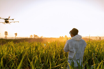 Farmer fly drone spray insecticide using high technology increasing productivity agriculture