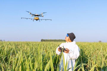 Farmer fly drone spray insecticide using high technology increasing productivity agriculture © Tongpool