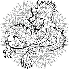 Zentangle dragon on mandala for coloring. Hand drawn decorative vector illustration