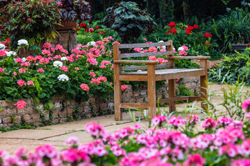 Fototapeta na wymiar A wooden bench in beautiful garden.