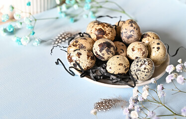 Create an Easter composition of Easter quail eggs and flowers on a blue background. A gentle greeting card for the Easter holiday.Top view, copy location, flat layout.