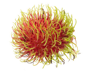 Fototapeta premium Ripe rambutan on transparent background png file.