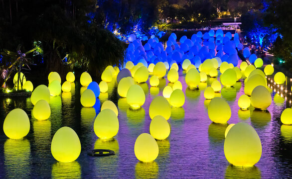 Singapore - Feb 25, 2020. Colorful blue and yellow eggs float on water