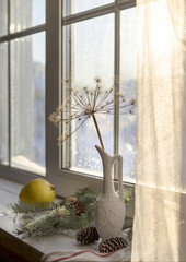 Winter still life with a dry branch of dill in a vase on a white windowsill