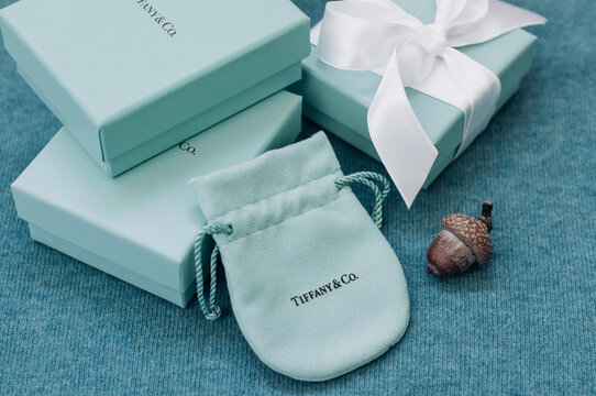 Two brand Tiffany box, a box with silk ribbon, velvet pouch and a little acorn.