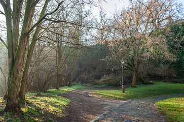 Petrovaradin fortress in winter without snow.